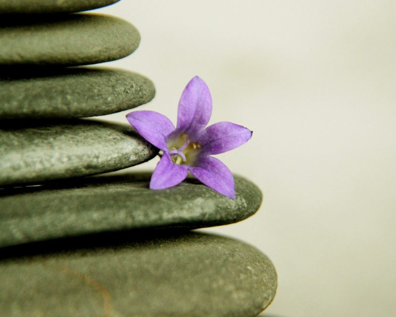 Stone and flower